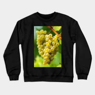 Ripening grapes on the vine Crewneck Sweatshirt